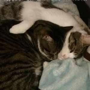 Meet your Posher, Margaret